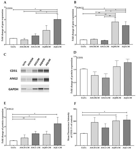 Enhanced Angiogenesis in HUVECs Preconditioned with Media from ...