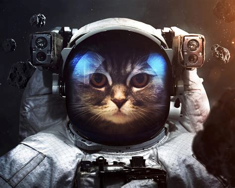 Image result for New Line Character in Python Program