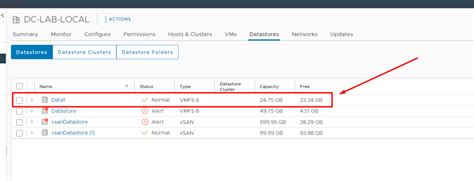 Local Disk Datastore 的图像结果
