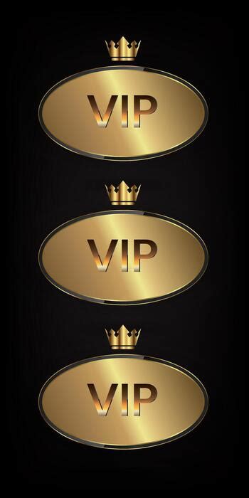 Image result for VIP Access Sign