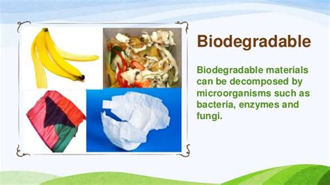 Image result for Biodegradable Waste Example