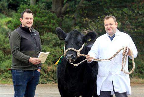 Dungannon Venue for Aberdeen-Angus Calf Show - Aberdeen-Angus Cattle ...