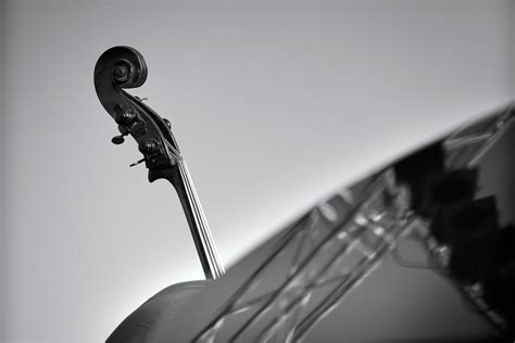 Image result for Check Sound On Computer