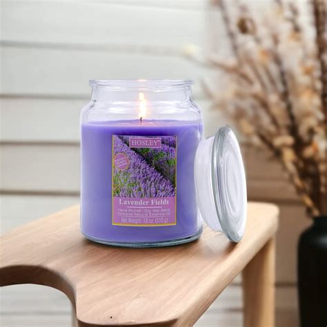 Buy HOSLEY Lavender Fields Scented Jar Candle from Hosley at just INR ...