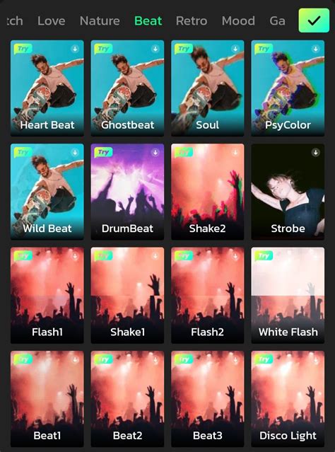 Image result for Video Effects Software Free