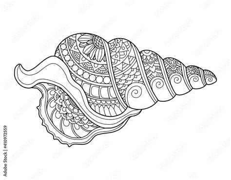 Image result for Sea Shells Coloring