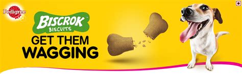 Buy Pedigree Biscrok Biscuits Dog Treats (Above 4 Months), Milk and ...