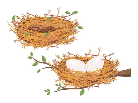 Empty Bird Nest Clip Art Black And White
