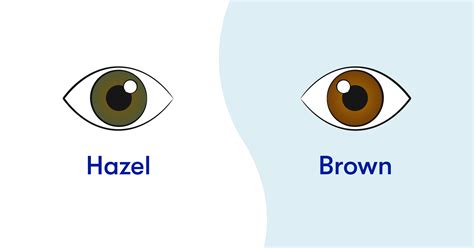 Hazel Eye Color | 1-800 Contacts