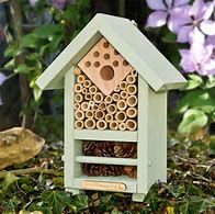 Image result for bug houses