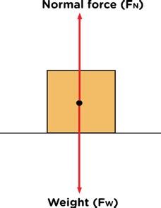 Image result for Net Forces Draw Simple Science