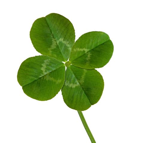 Four Leaf Clover Wallpapers - Wallpaper Cave