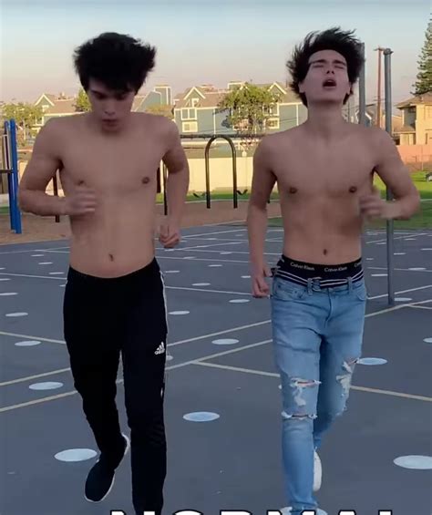 les beautés de la nature - stokes twins