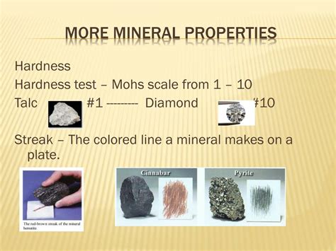 Image result for Fossil Formation Process Step 1