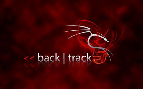 Backtrack Java 的图像结果