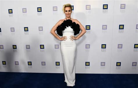 Wallpaper actress, Katy Perry, Katy Perry, singer, 2017, Human Rights ...