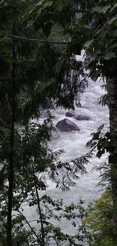REO RAFTING, GLAMPING & YOGA RESORT (North Bend) - Campground Reviews ...