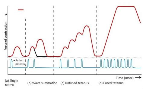Image result for Wave Summation Graph