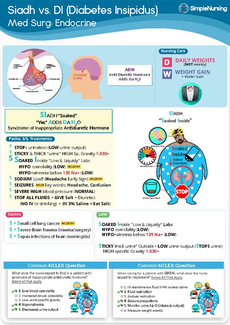 Siadh & DI - n/a - Siadh vs. DI (Diabetes Insipidus) Med Surg ...