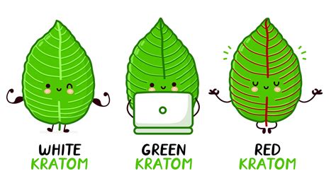 Kratom Strains Review: Red, White, Green & Yellow Kratom - Kratom Monkey