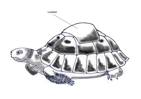 Image result for Define Localizer
