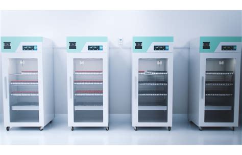 Universal probe holder