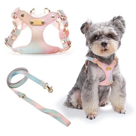 Find the Perfect Cutest Dog Harness for Your Beloved Pet Today