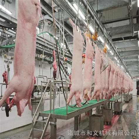 猪牛羊屠宰设备 屠宰加工生产线 胴体加工输送线 猪牛羊输送线-食品机械设备网