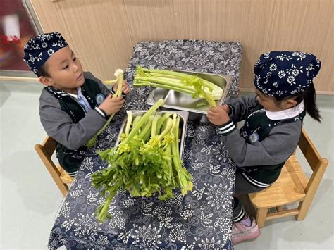 核桃仁怎么做婴儿辅食（宝宝爱吃的三道高营养辅食餐）-幼儿百科-魔术铺