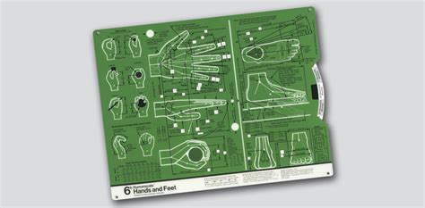 Image result for Humanscale Chart