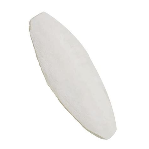 Buy Fovolat 10pcs Cuttlebone for Birds|Parrot Chewing Cuttle Bone for ...