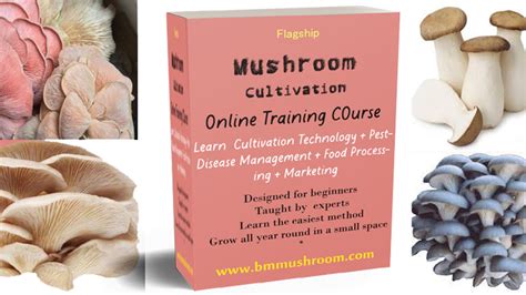 BM Mushroom Academy: Masterclass in Mushroom Cultivation – tagged ...