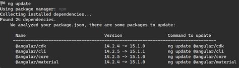 Update Angular Project 的图像结果