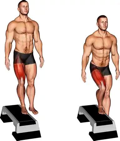 Image result for Forward Step Up Exercise