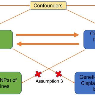 Image result for Introduction to Mendelian Randomization