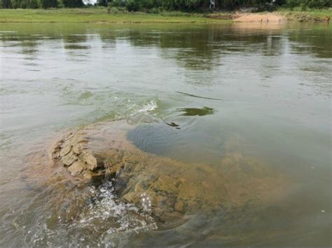 Explorers Discovered Submerged 500-Year-Old Temple In An Odisha River ...
