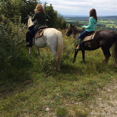 FOSSEY MOUNTAIN SPRINGS RANCH (2026) All You Need to Know BEFORE You Go ...