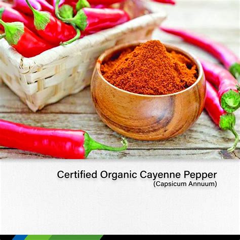 Capsaicin Supplement at Zoe Mehaffey blog