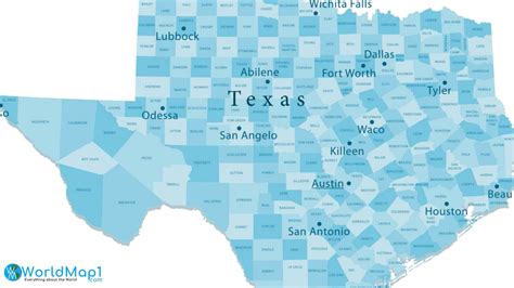 Texas County Maps