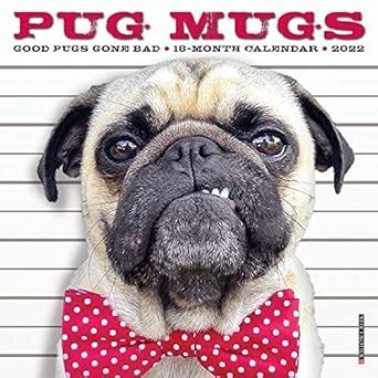 Buy Pug Mugs 2022 Mini Wall Calendar Book Online at Low Prices in India ...
