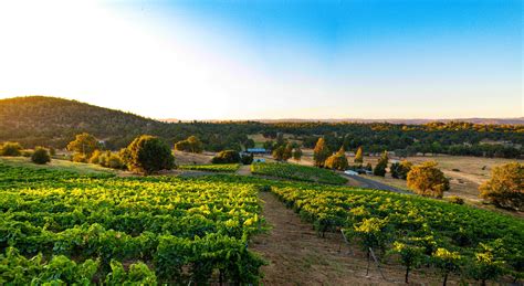 Chateau d' Estienne - Priority Wine Pass