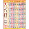 COUNTING (BENGALI) CHART SIZE 45 X 57 CMS