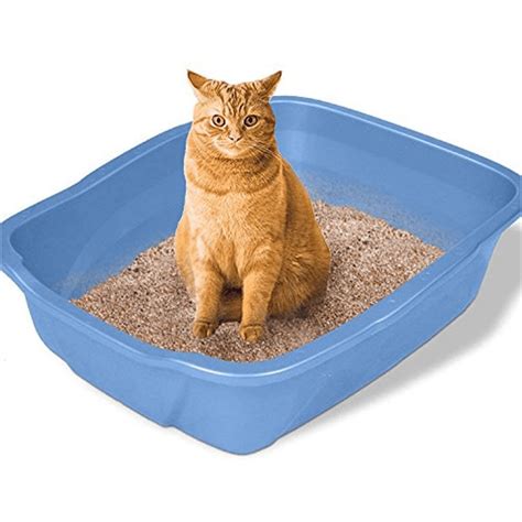 Buy Emily Pets Lemon Scented Cat Litter Online | Supertails