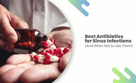 Best Antibiotic for Sinus Infections 2025 (Amoxyheal CV)