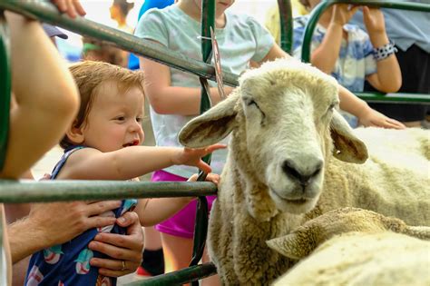 Farmers Market - Harvest Festival | Downtown Birmingham