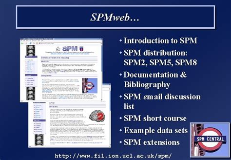 Image result for SPM MATLAB Logo