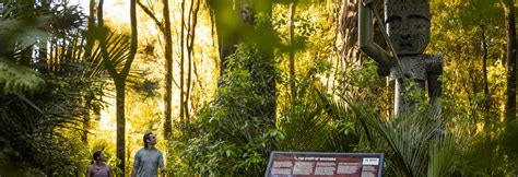 Top walks in Manawatū | 100% Pure New Zealand