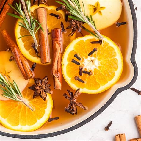 Holiday Simmer Pot (Stovetop Potpourri) - Noble Pig