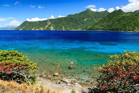 Dominica Island Caribbean Dominica: Nature Island Of The Caribbean