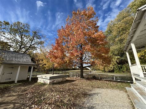 Belle Haven Charlotte